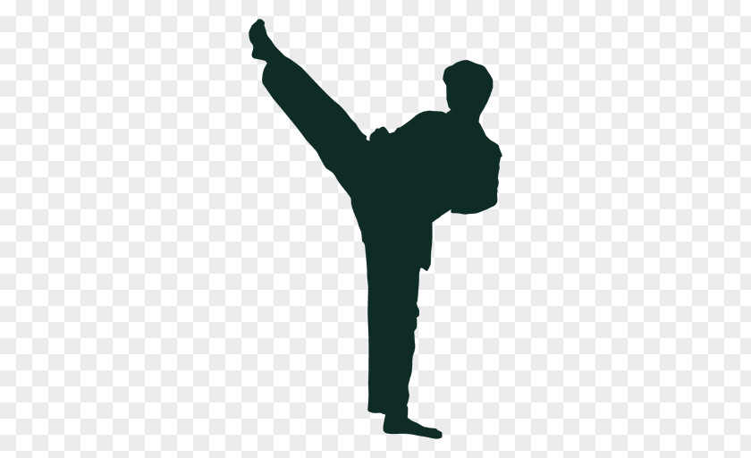 Karate Front Kick PNG