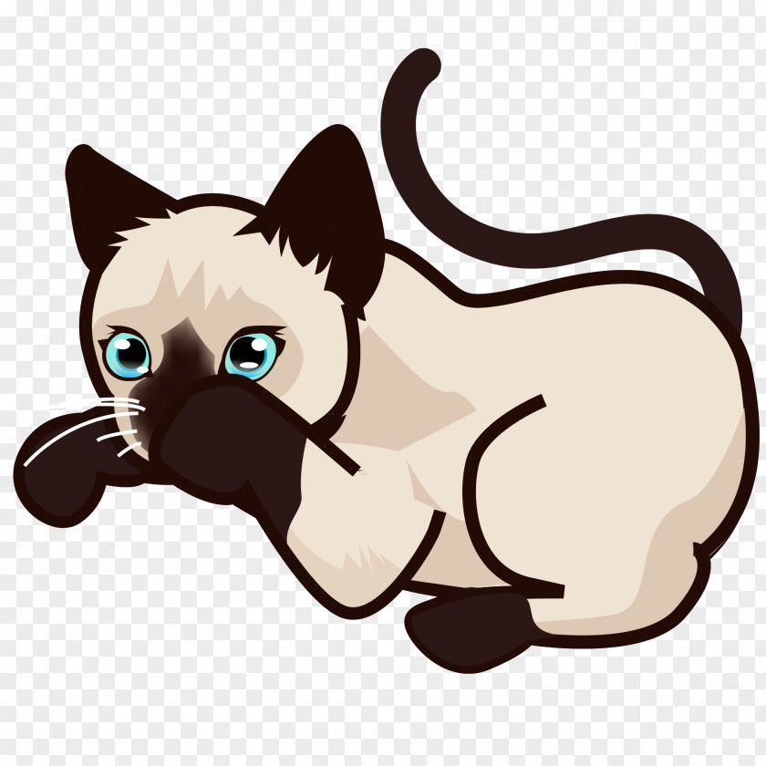 Kitten Siamese Cat African Wildcat Black Clip Art PNG