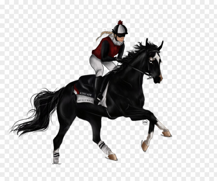 Mustang Stallion English Riding Rein Equestrian PNG