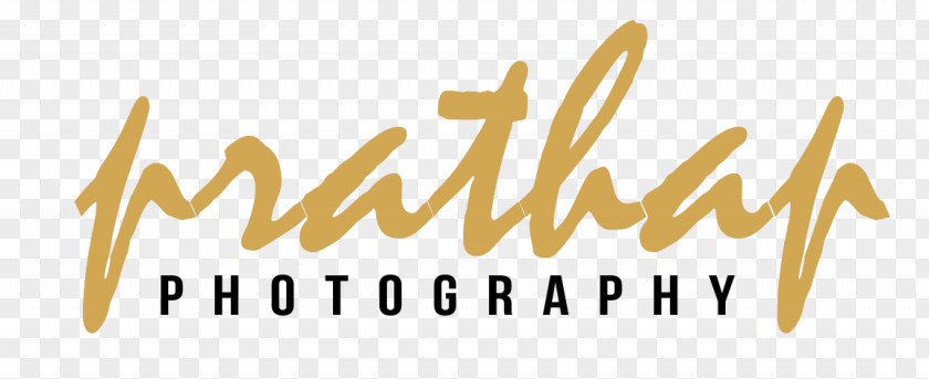 Nature Field Logo Photography Brand Font PNG