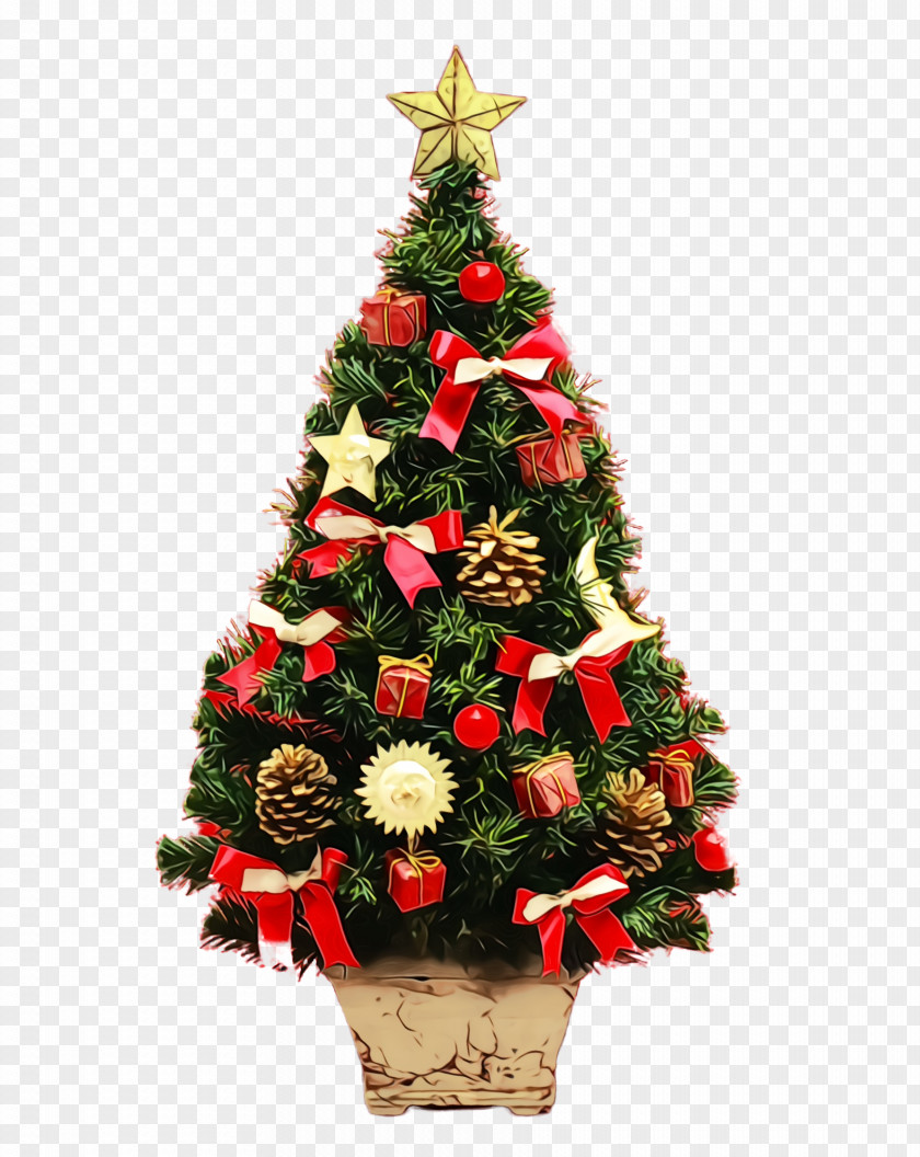 Plant Pine Christmas Tree PNG