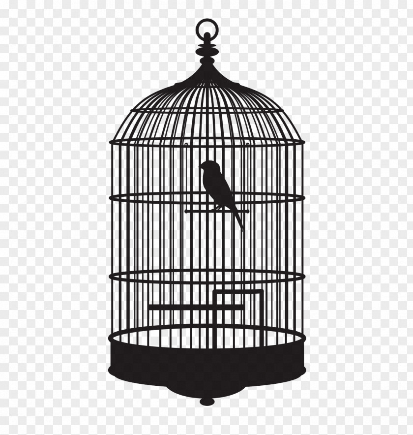 Birdcage PNG