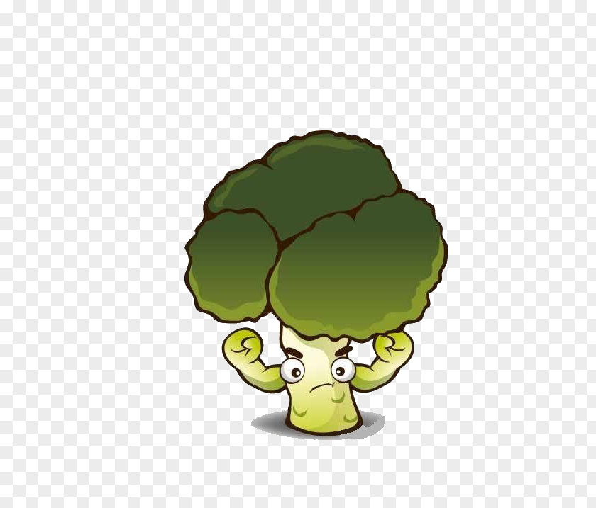 Cartoon Cauliflower Broccoli Vegetable PNG