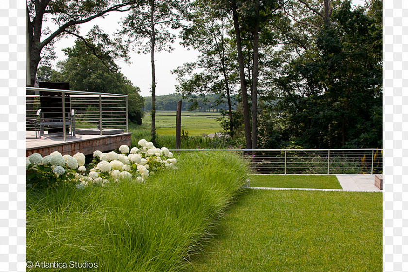 Fence Backyard Garden Paragon Landscape Construction Inc. PNG