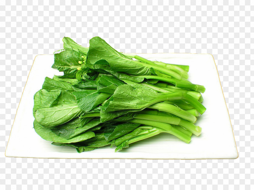 Cabbage Guangdong Cantonese Cuisine Choy Sum Hong Kong Vegetable PNG