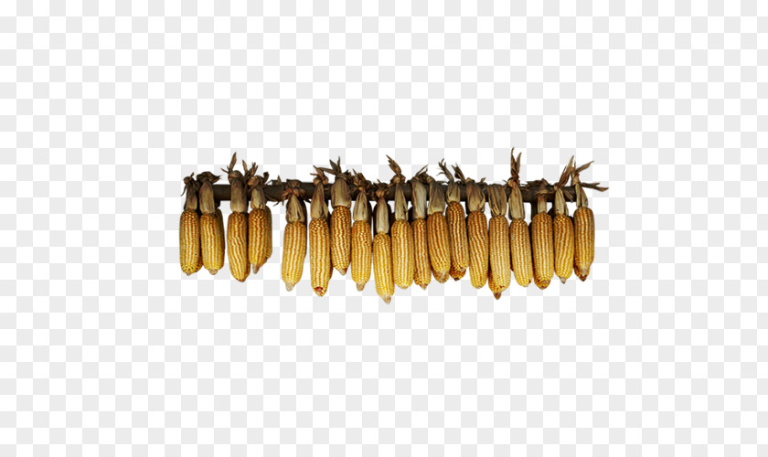 Corn Maize PNG