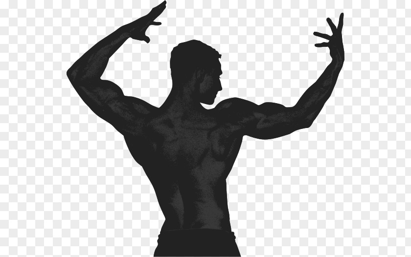 Fitness Muscle Finger Silhouette Physical FitnessArm Wrestling Aleš Lamka PNG