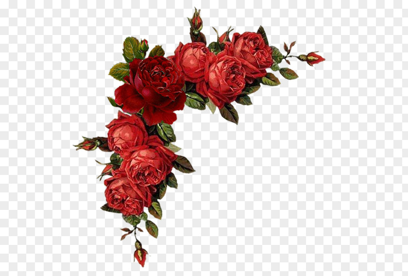 Flower Borders And Frames Red Garden Roses Clip Art PNG