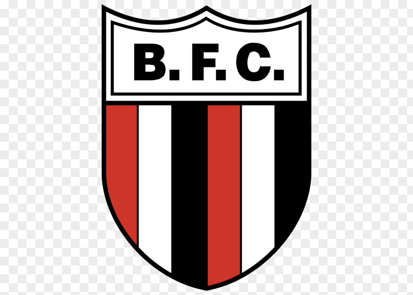 Football Botafogo De Futebol E Regatas Logo Clube Campeonato Brasileiro Série A PNG