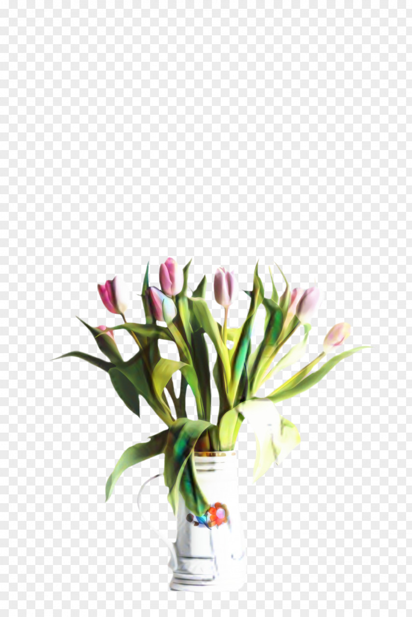 Houseplant Lily Family Flower Cartoon PNG