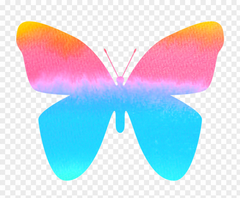 Butterfly Watercolor Stiftung Kinderseele PNG