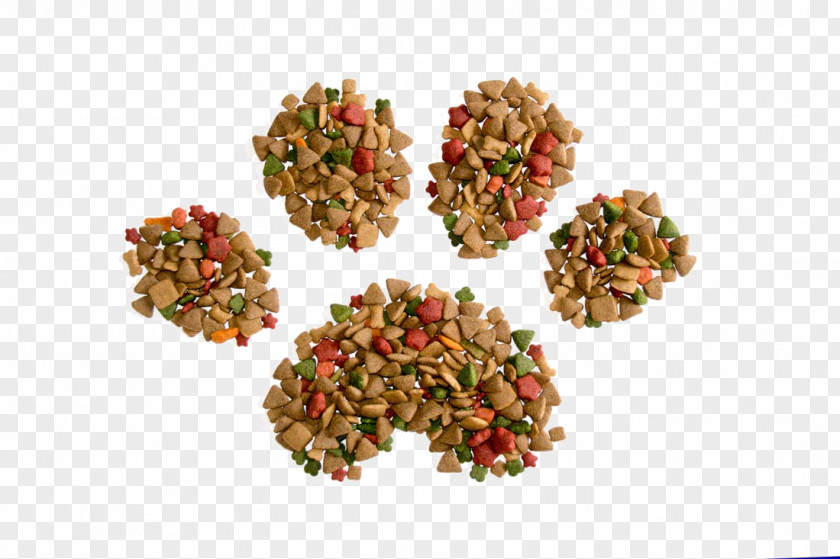 Cat Food Dog Pet Adoption Veterinarian PNG