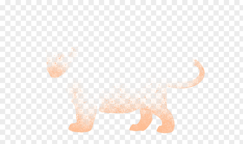 Cat Tail Snout PNG