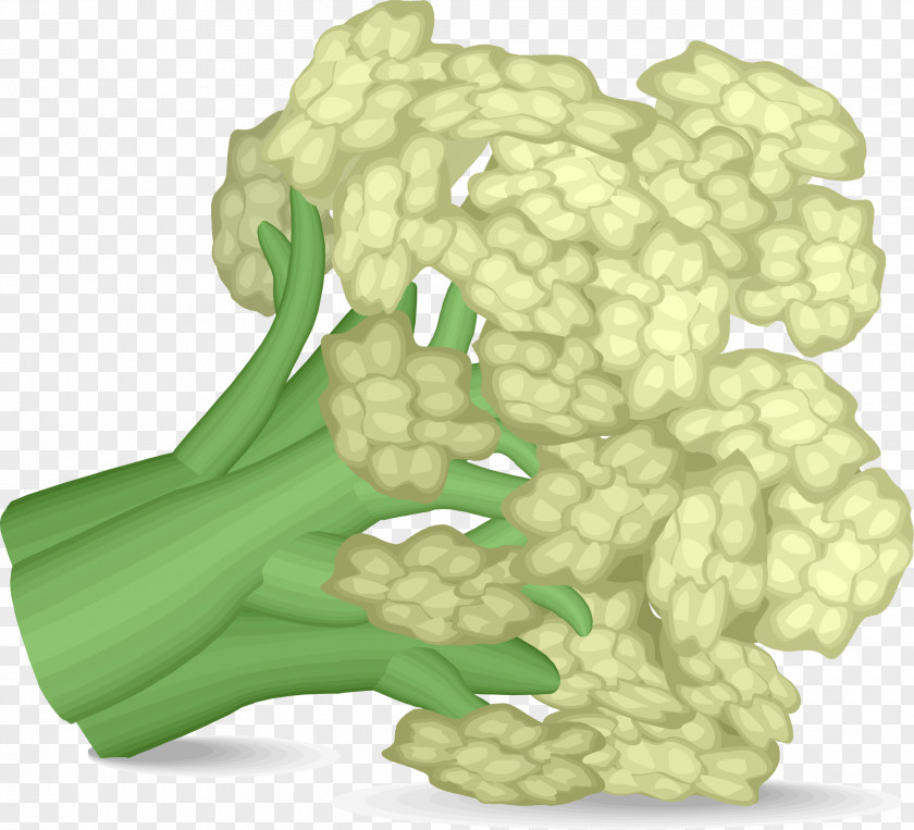 Cauliflower Vegetable Broccoli Clip Art PNG