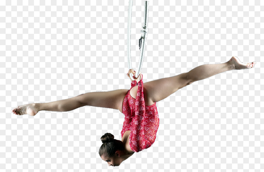 Circus Acrobatics Trapeze Performing Arts Gymnastics PNG