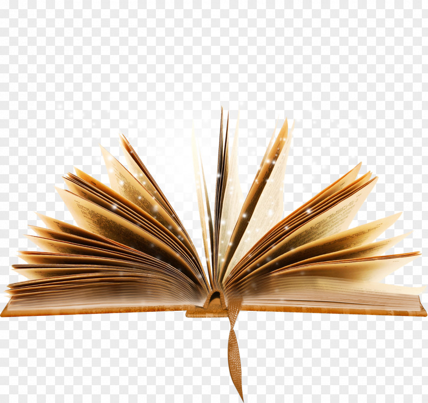 Gold Book Reading Writing Non-fiction PNG