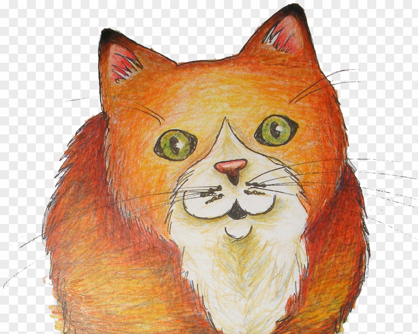 Kitten Whiskers Wildcat Drawing PNG
