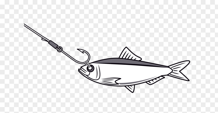 M Product DesignGoogle Needle And Thread Zubok's Bait Tackle Marine SECU Commons Fish Heads Black & White PNG