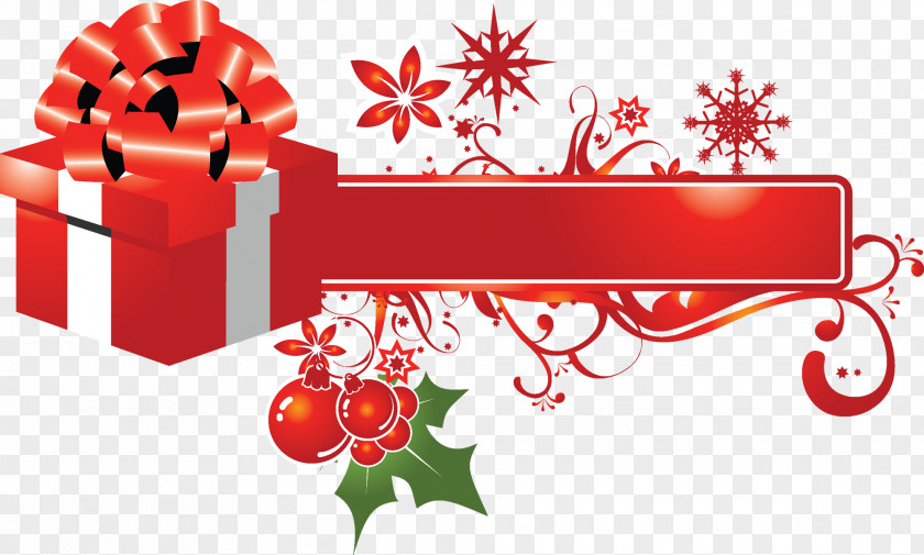 Promotion Christmas Chinese New Year Advent Gift PNG