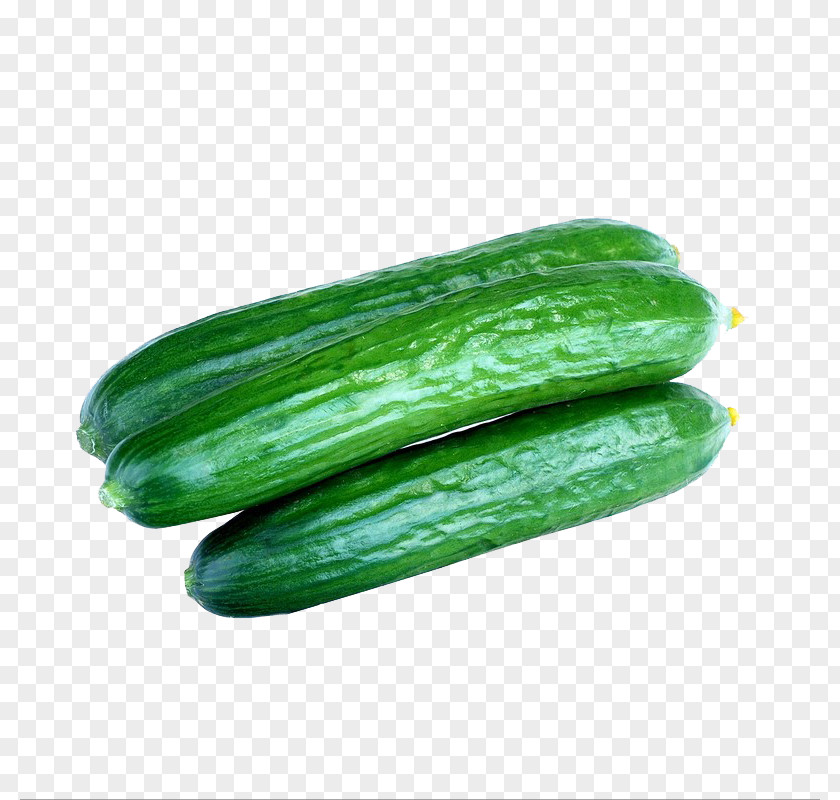 Cucumber China Chinese Cuisine Vegetable Mandarin PNG