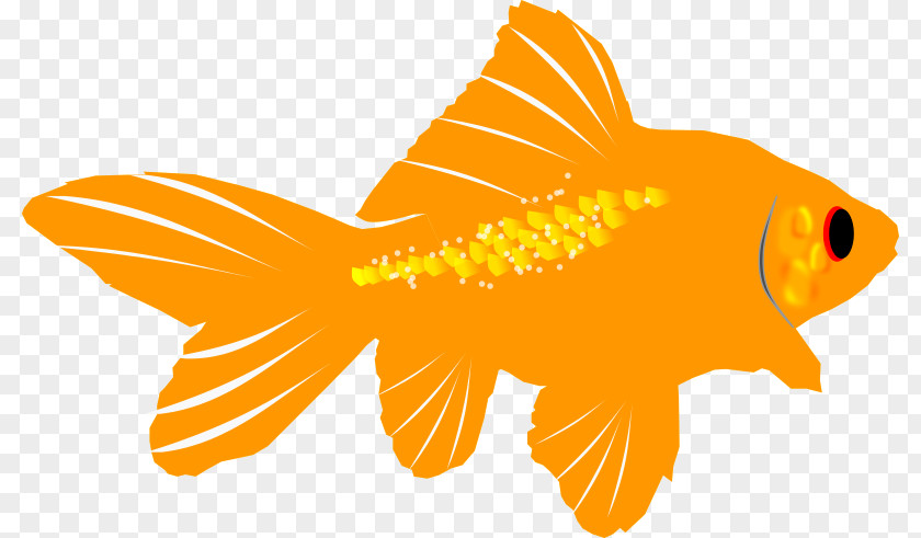 Easy Fish Cliparts Goldfish Clip Art PNG