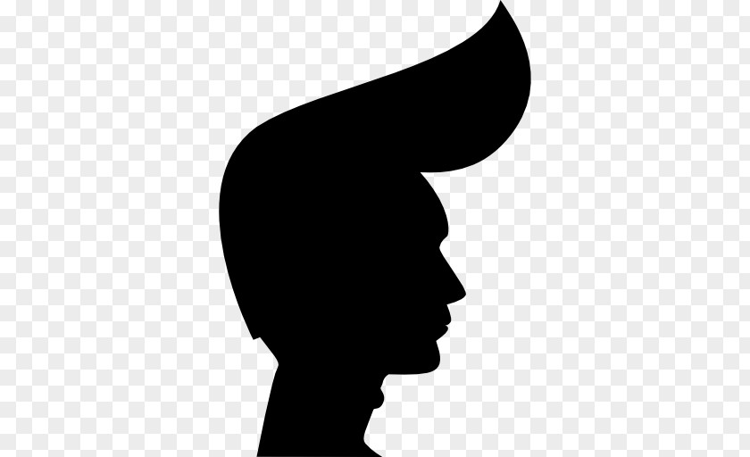 Silhouette Hairstyle PNG