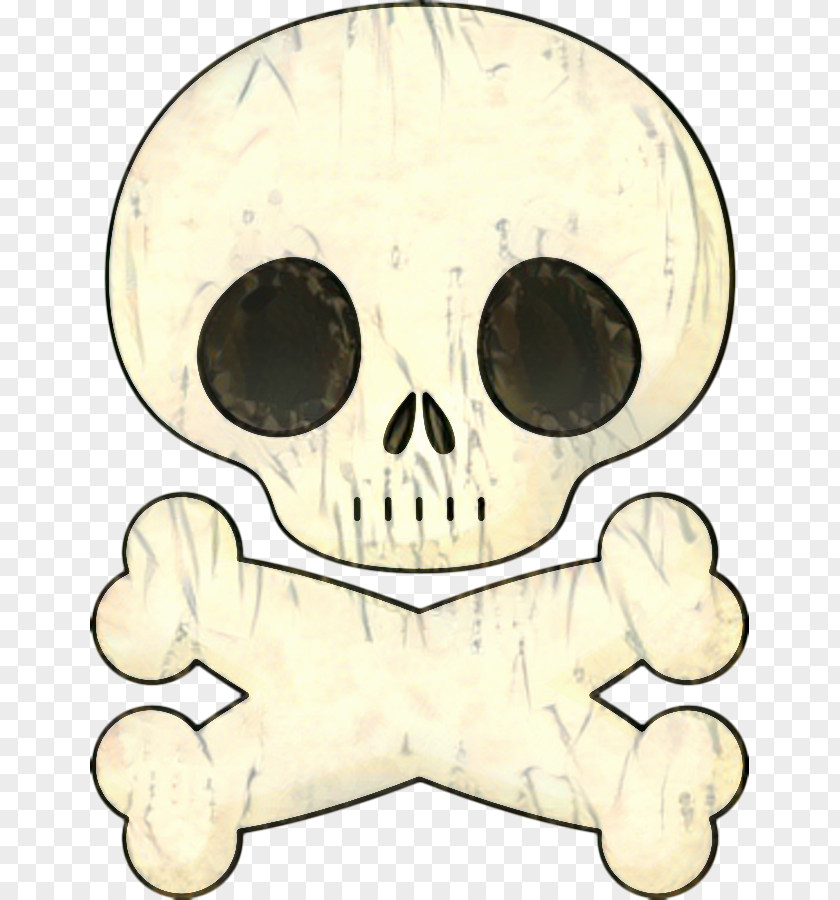Smile Snout Human Skull Drawing PNG