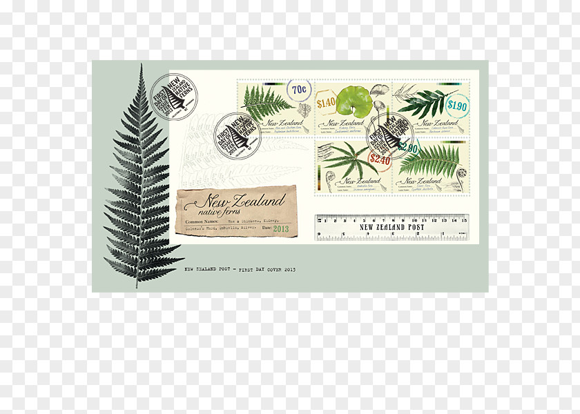 Tree Paper Rectangle Font PNG