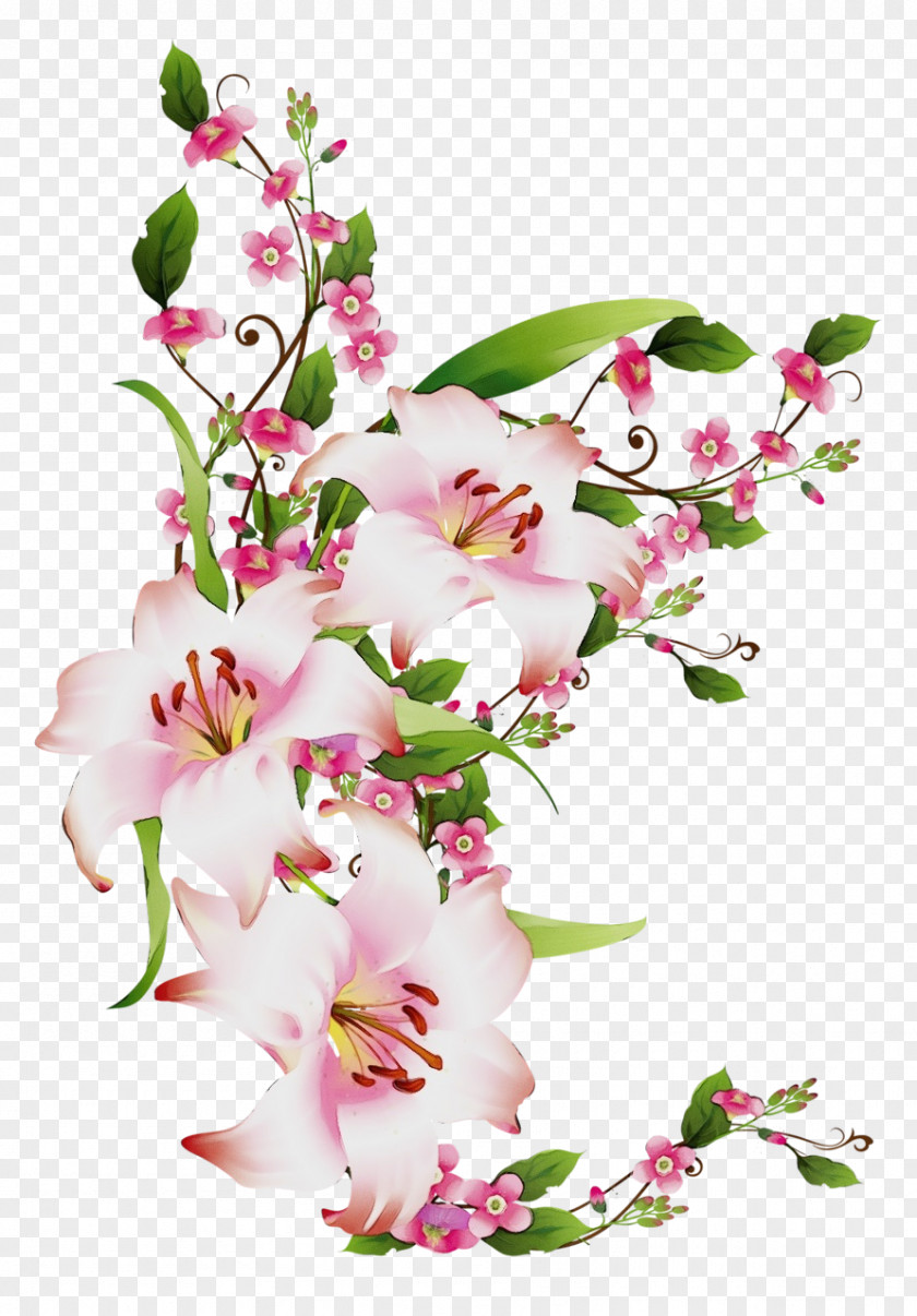 Blossom Bouquet Flower Flowering Plant Cut Flowers Pink PNG
