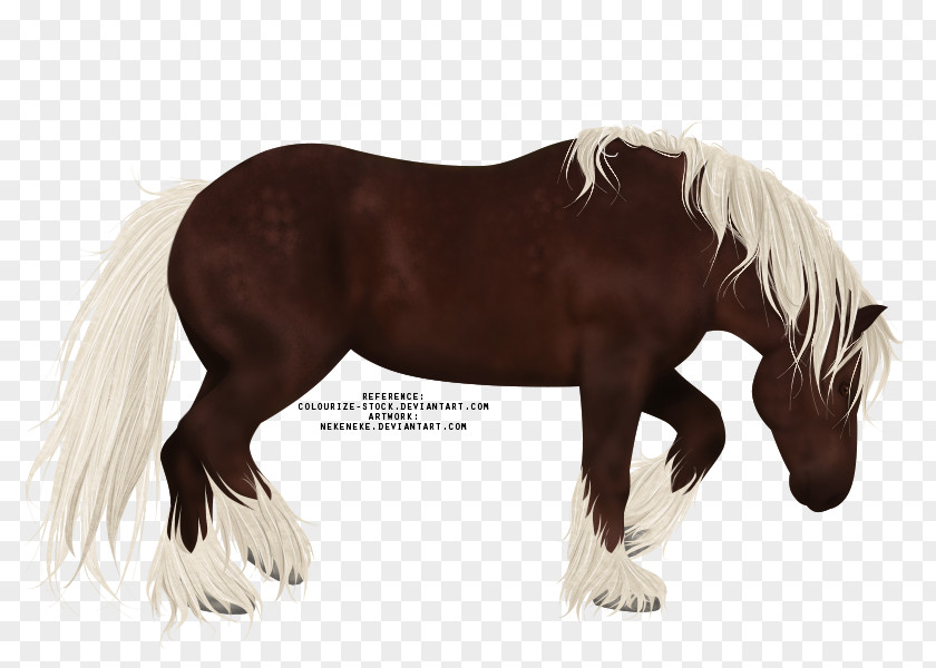 Digital Watercolor Mane Mustang Stallion Pony Mare PNG