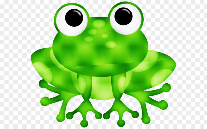 Drawing Frog Cartoon Internet Meme Toad PNG