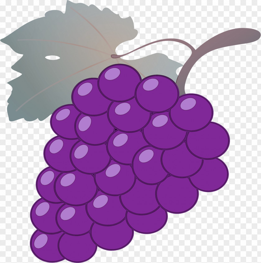 Grape Grapevines Plant Fruit PNG