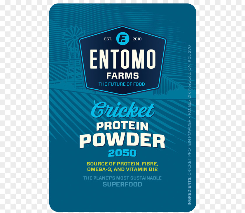 Insect Cricket Flour Entomophagy Food PNG