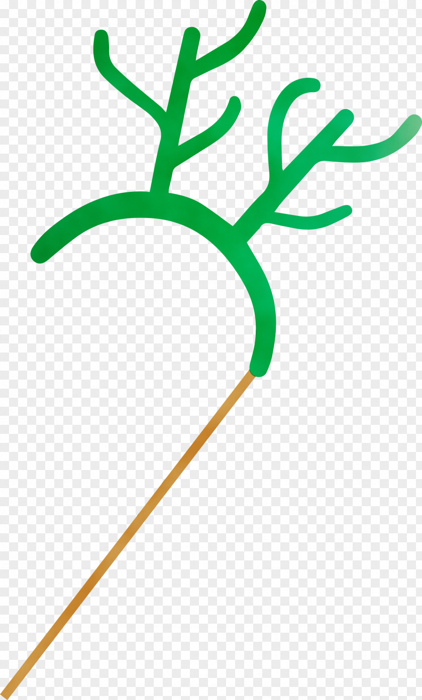 Leaf Plant Stem Green Line Tree PNG