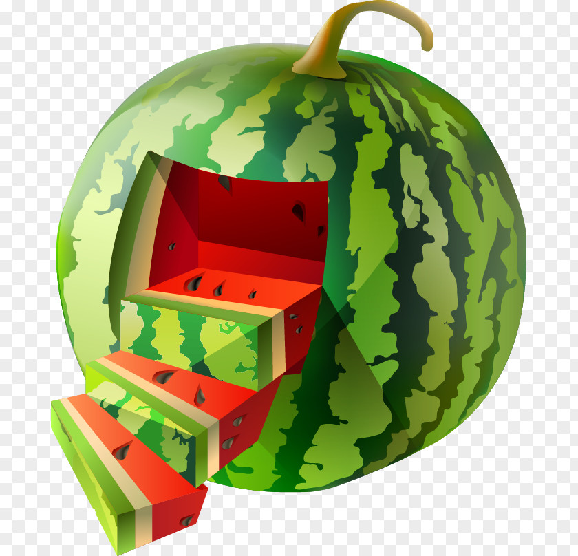 Vector Watermelon Citrullus Lanatus Euclidean PNG