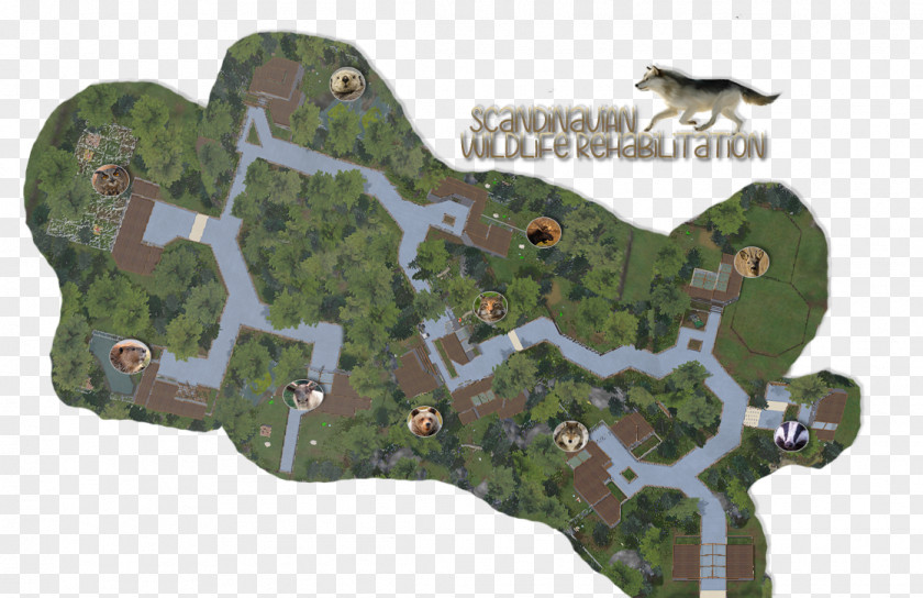 Zoo Tycoon 2: Marine Mania Orana Wildlife Park Meerkat Video Game PNG