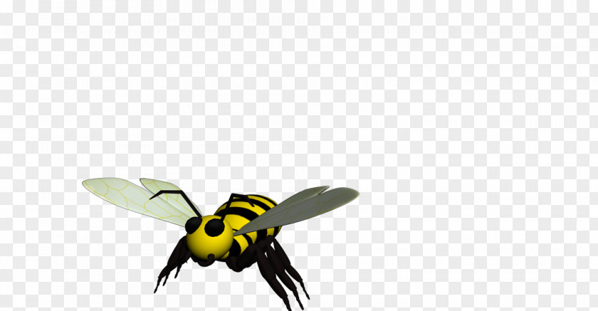 Bee Honey Life Cycle Hornet Bumblebee PNG