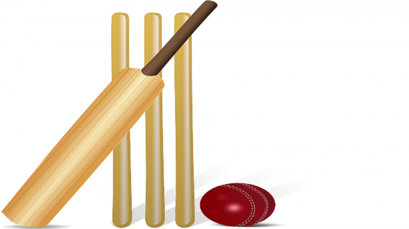 Picture Cricket Ball Bats Batting Balls Clip Art PNG