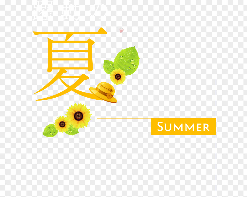 Summer Season 京都きもの町 Yukata Kimono Fukubukuro Obi PNG