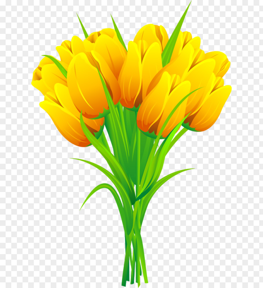 Tulip Flower Bouquet Clip Art PNG