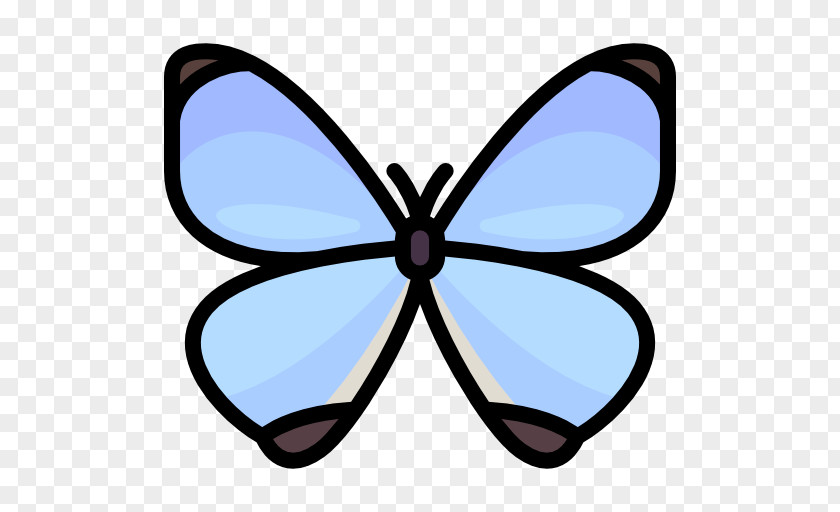 Butterfly Icon Monarch Csicsergő Óvoda Kindergarten Child Parent PNG
