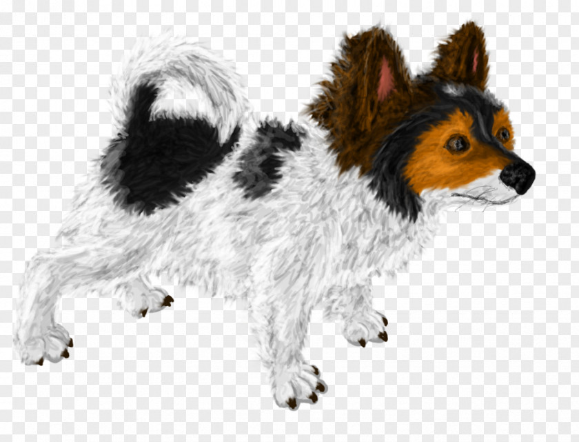 Shetland Sheepdog Dog Breed Companion Snout Fur PNG