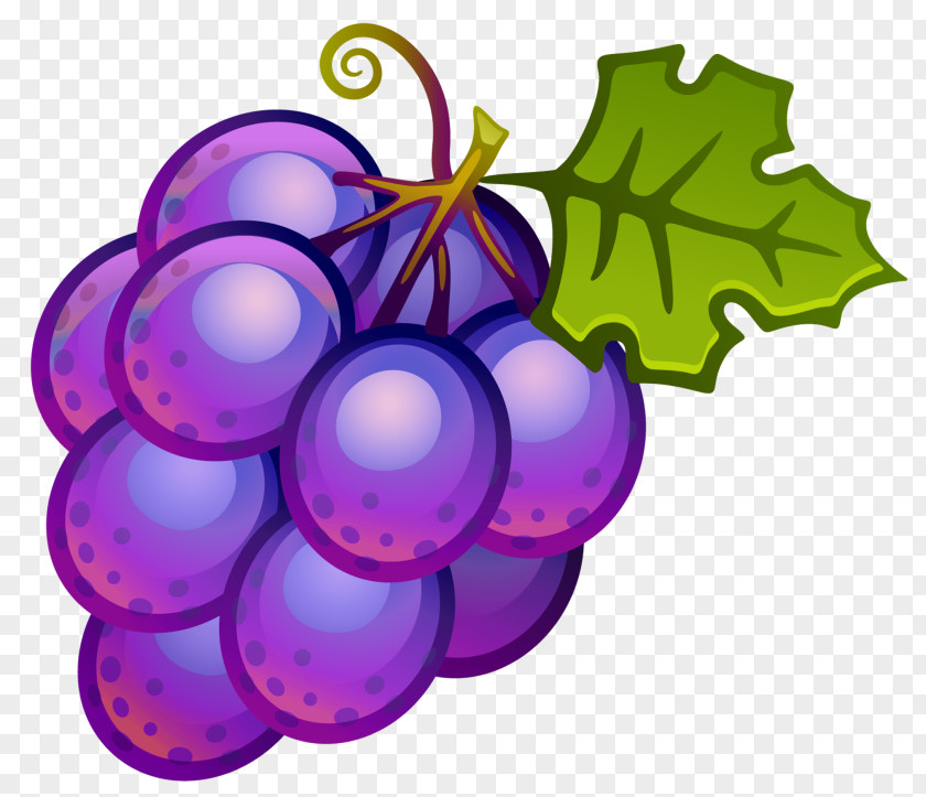 White Grapes Cliparts Common Grape Vine Wine Juice Clip Art PNG