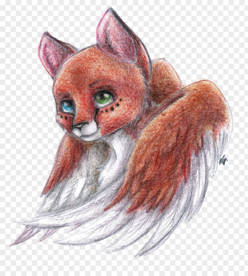 Cat Whiskers Red Fox Drawing PNG