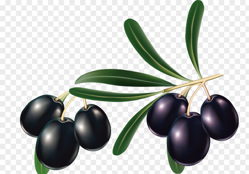 Creative Black Olive Mediterranean Cuisine Oil Leaf PNG