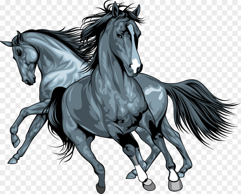 Horse Wild Clip Art PNG