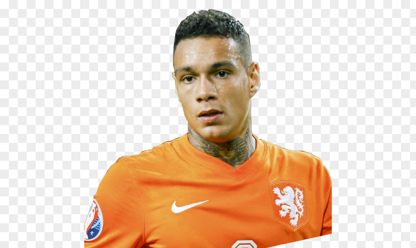 Netherlands National Football Team Player FIFA World Cup European Qualifiers PNG