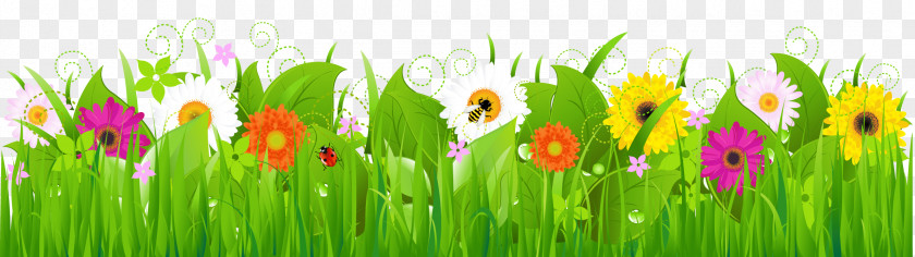 Grass With Flowers And Bee Clipart PNG