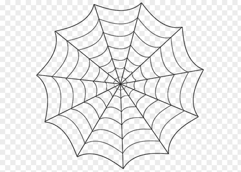 Spider Web Drawing Line Art PNG