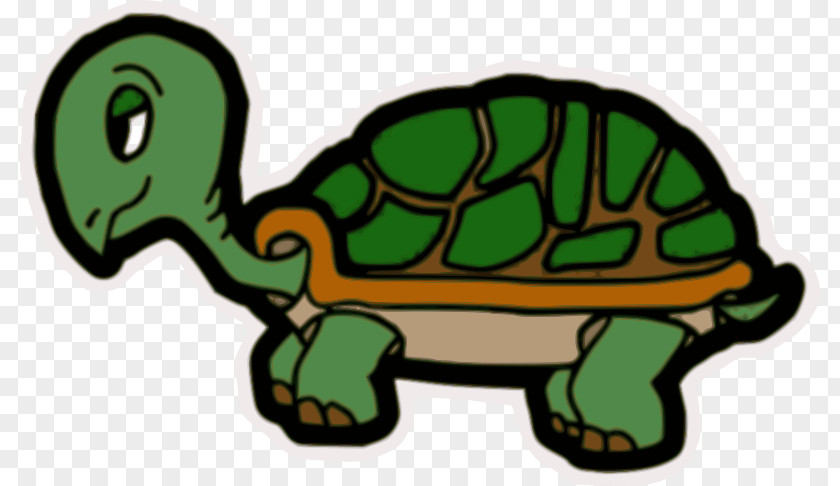 Turtle Tortoise Clip Art PNG